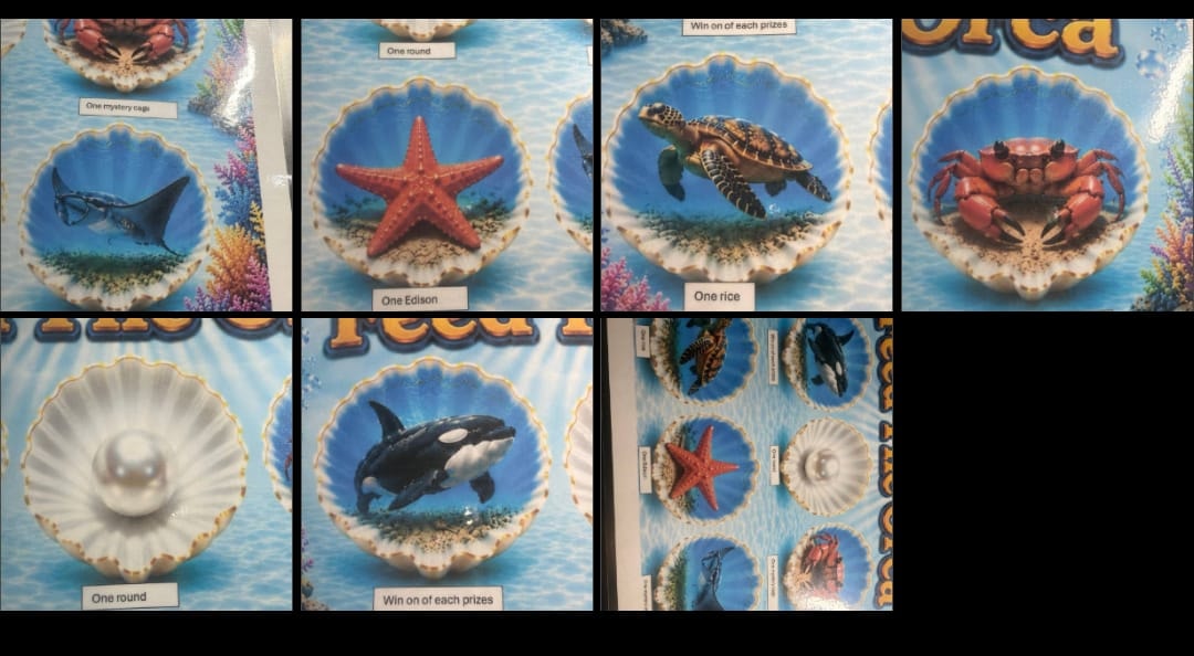 Orca prize