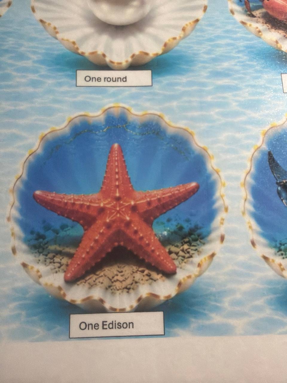 Starfish prize
