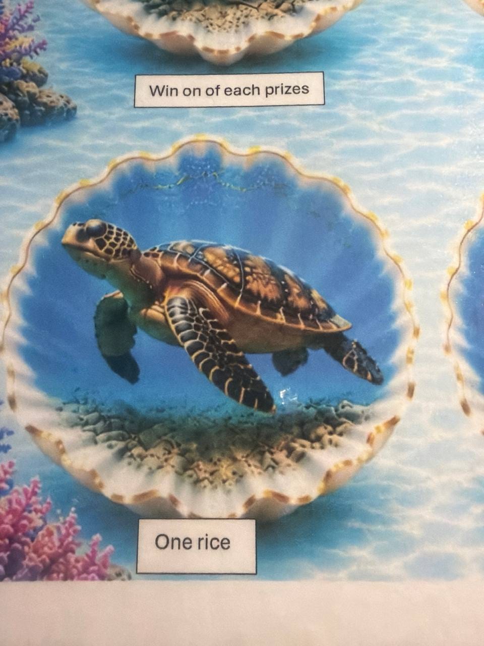 Turtle prize